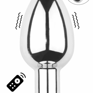 Plug vibrant acier inoxydable anal taille M avec télécommande, USB BOOTY