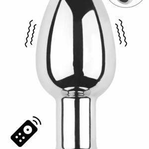 Plug vibrant acier inoxydable anal taille S avec télécommande, USB BOOTY