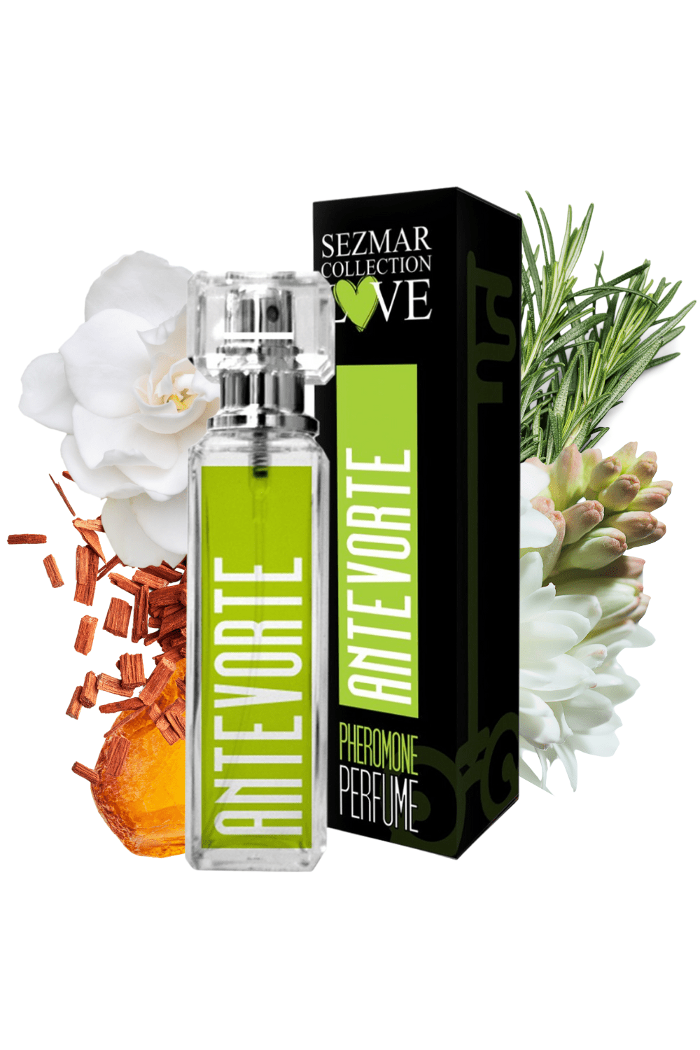 Parfum phéromones Antevorde 100% naturel 30ml – Image 3