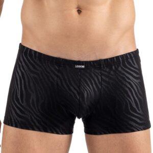 Boxer noir gold Zebra